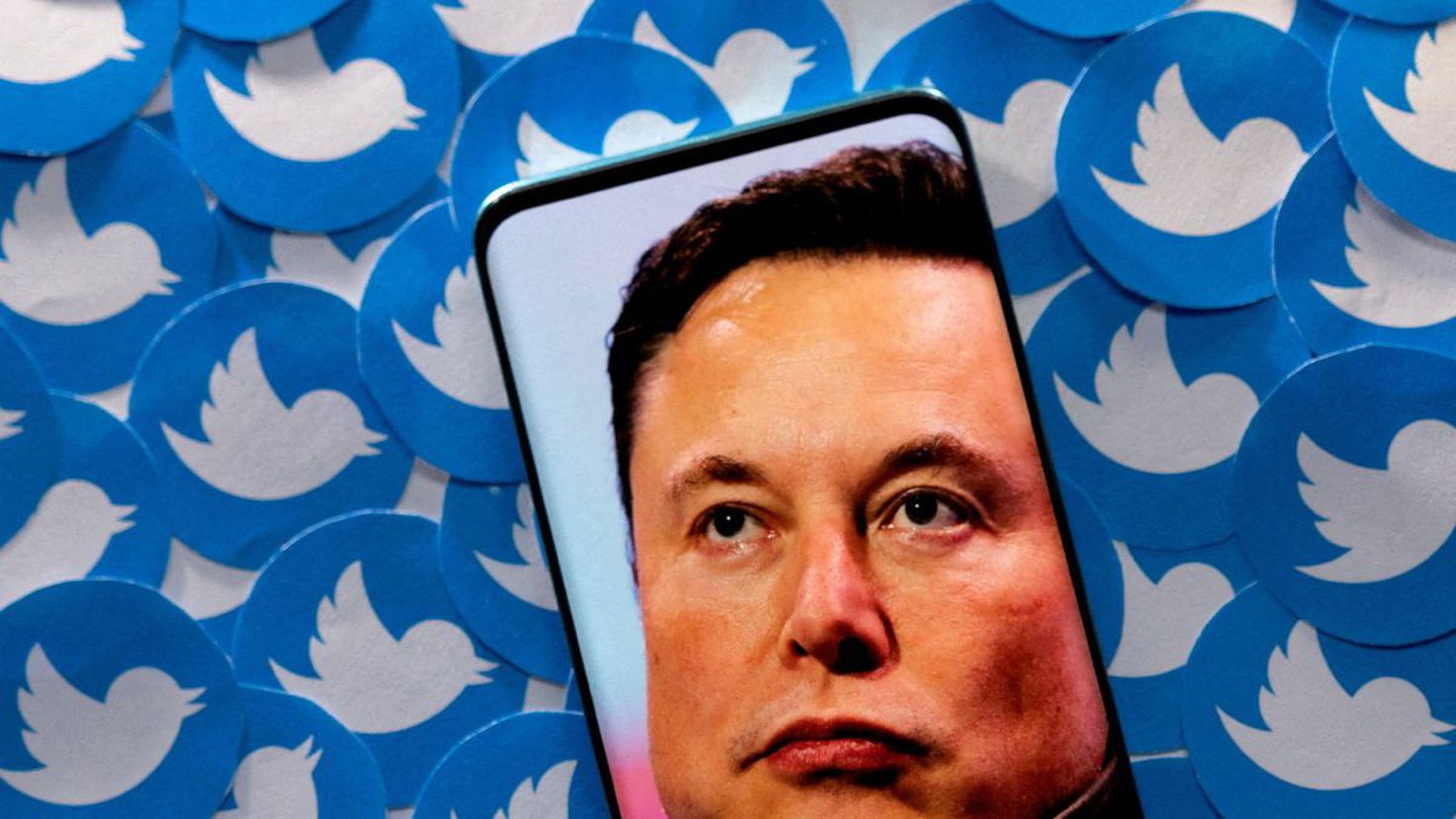 Twitter no quiere que Elon Musk siga al frente de la app según su propia encuesta